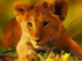 Игри Wild Baby Animals Jigsaw
