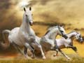 Игри Running Horse Slide