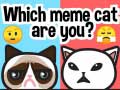 Игри Which Meme Cat Are You?
