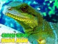 Игри Chinese Water Dragon Jigsaw