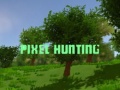 Игри Pixel Hunting