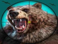 Игри Wild Bear Hunting