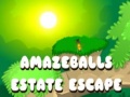 Игри Amazeballs Estate Escape