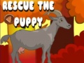 Игри Rescue The Puppy