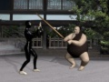 Игри Buyoda Sensei