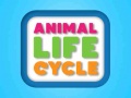 Игри Animal Life Cycle