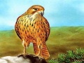Игри Birds of Prey Slide