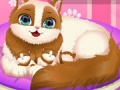 Игри Cute Kitty Pregnant