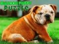 Игри Bulldog Puppy Puzzle