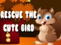 Игри Rescue The Cute Bird