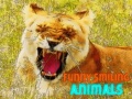 Игри Funny Smiling Animals