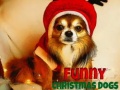 Игри Funny Christmas Dogs