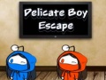 Игри Delicate Boy Escape