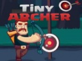 Игри Tiny Archer