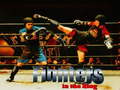 Игри Fighters in the Ring