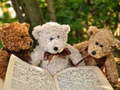 Игри Cuddly Three Teddy Jigsaw