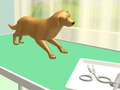Игри Paw Care