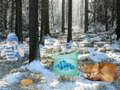 Игри Winter Wonderland Forest Adventure