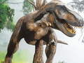 Игри Tyrannosaurus Rex Carnivore Jigsaw
