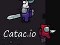 Игри Catac.io