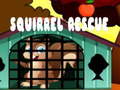 Игри Squirrel Rescue