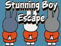 Игри Stunning Boy Escape