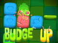 Игри Budge Up