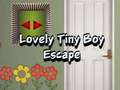 Игри Lovely Tiny Boy Escape