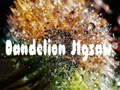 Игри Dandelion Jigsaw