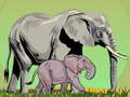 Игри Wild Animals and Their Babies