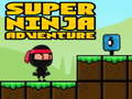 Игри Super Adventure Ninja