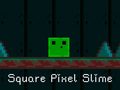 Игри Square Pixel Slime