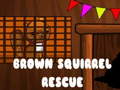 Игри Brown Squirrel Rescue