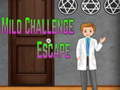 Игри Amgel Mild Challenge Escape