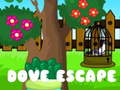 Игри Dove Escape
