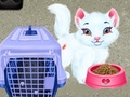 Игри Baby Taylor Pet Care