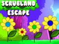 Игри Scrubland Escape