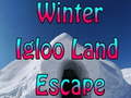 Игри Winter Igloo Land Escape 