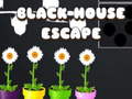 Игри Black House Escape
