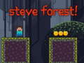 Игри Steve Forest