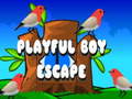 Игри Playful Boy Escape