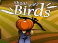 Игри Shoot Some Birds
