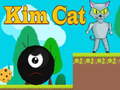 Игри Kim Cat