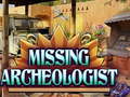 Игри Missing Archeologist