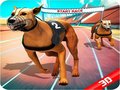 Игри Crazy Dog Race