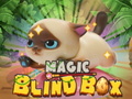 Игри Magic Blind Box