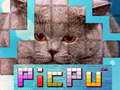 Игри PicPu Cat 