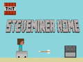 Игри Steveminer Home