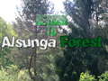 Игри Return To Alsunga Forest