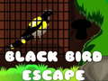 Игри Black Bird Escape